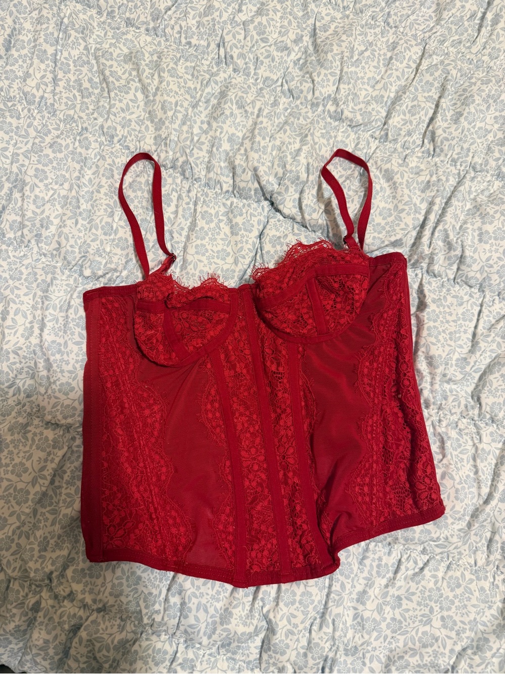 Urban Outfitters Red Lace Bustier Camisole